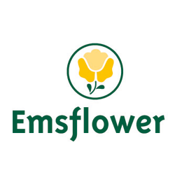 Emsflower GmbH